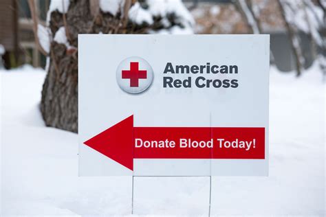 Donate blood to help save lives - The Globe