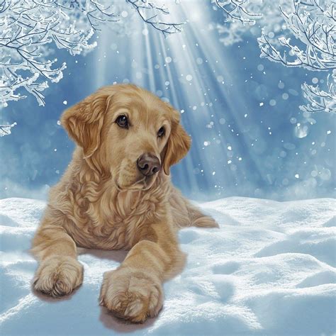 20 x Golden Retriever Christmas Cards, Perfect Holiday Greetings Card for Goldie Lovers - All ...