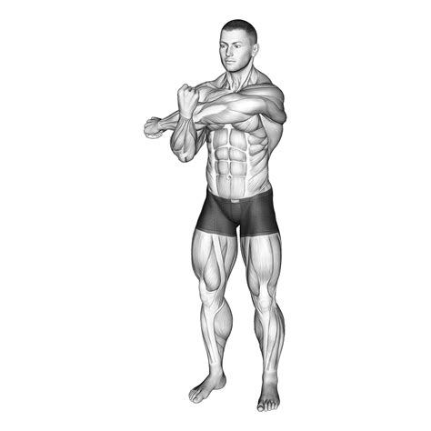 3 Best Rear Deltoid Stretches (with Pictures!) - Inspire US