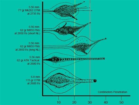 Entry and Exit Wounds with Cavitation - 5.56 vs. 7.62. [5.56 is the M16 ...