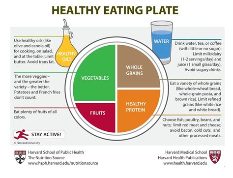 Healthy Diet Plans For Seniors