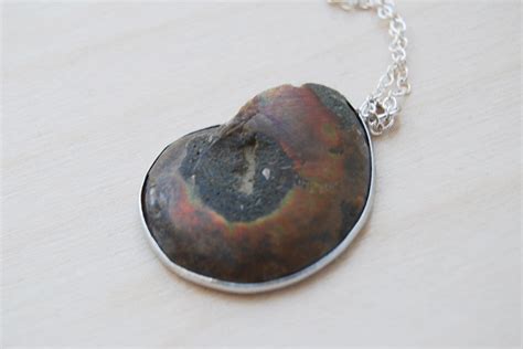 Ammonite Fossil Shell Necklace | Fossilized Shell Necklace | Ammonite – Enchanted Leaves