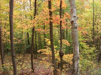 Adirondack Fall Foliage - Fall Scenic Drives in The Adirondack Park in ...