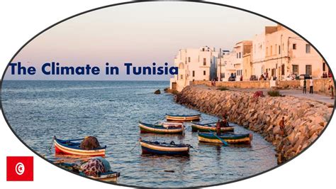 The Climate in Tunisia. - ppt download