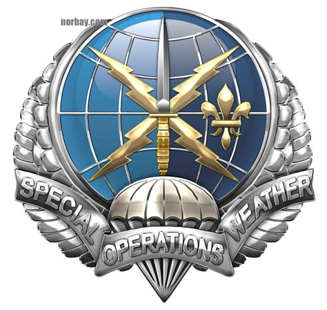 Air Force Special Operations Weather Medal Sign | North Bay Listings