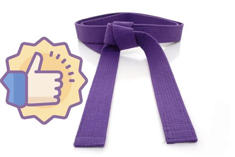 The BJJ Purple Belt Paradox – Are They Even Good? - Blinklift