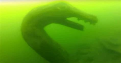 Watch: Ogopogo Sea Monster Wants You To Come Find It