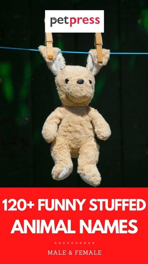 Funny Names for Stuffed Animals: 120+ Hilarious Stuffed Animal Names