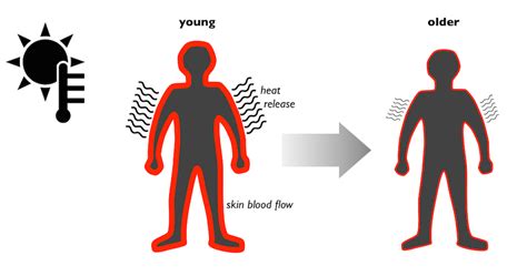 Body Temperature - Center for Healthy Aging