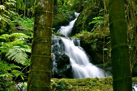 Hawaiian Landscape Photography: The Waterfalls of Hawaii