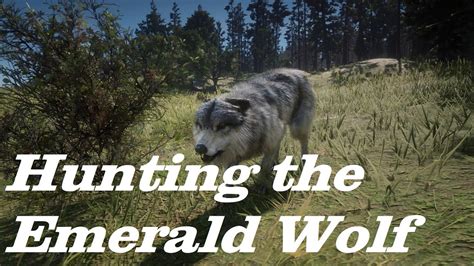 Hunting the Emerald Wolf | RDR2 Online - YouTube