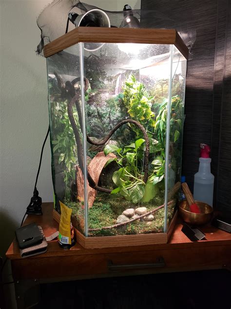 I'm wanting to convert this tank to a fast frog tank. It is 22" tall×10 ...