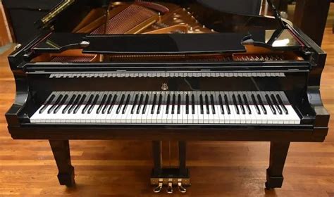 10 Different Types of Pianos You Can Purchase