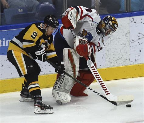 3 American Hockey League teams opt out of season, 28 to play | AP News