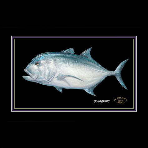 Giant Trevally Trophy Series | Fish Art Prints by Rod McArter