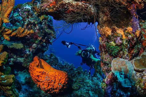 Scuba Diving in Curacao | Official On-Line Resource | Dive Curacao