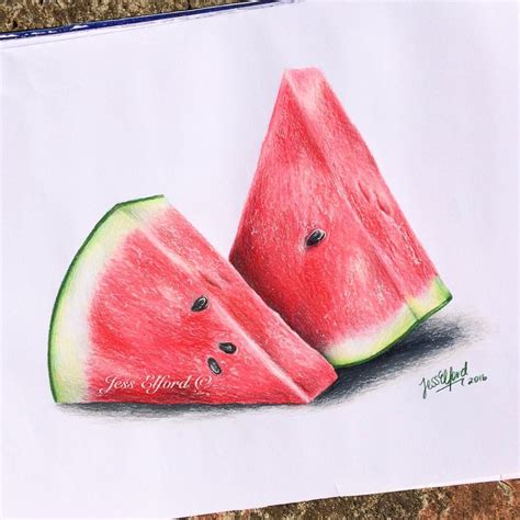 Realistic watermelon drawing by Jess Elford. Drawn with prismacolor ...