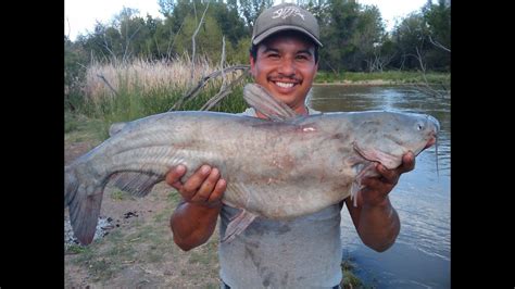 Muddy River Catfishing Best Of 2013 - YouTube