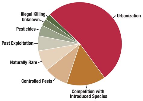 Chart Of Endangered Dolphins