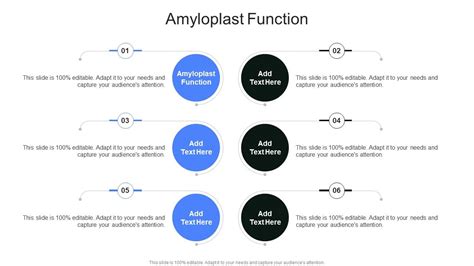 Amyloplast Function In Powerpoint And Google Slides Cpb