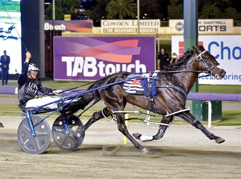 Lazarus to stand in New South Wales | National Trotguide