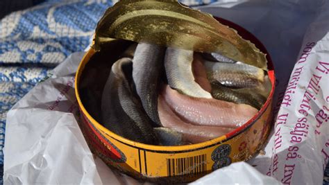 Surströmming: The Fermented Swedish Herring Banned By Several Airlines