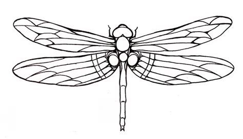 dragonfly tattoo by Penny Jain | Dragonfly drawing, Dragonfly tattoo ...