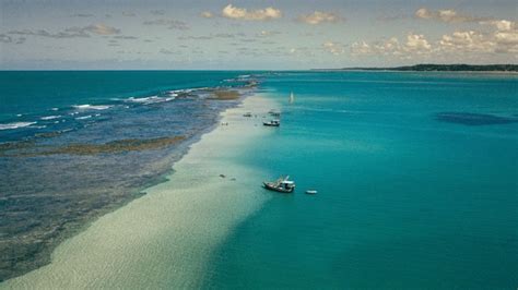 144 Clear Water Beaches Palm Tree America Hotel Royalty-Free Photos and Stock Images | Shutterstock