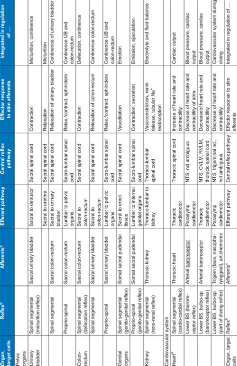 Autonomic reflexes mediated by spinal cord and brain stem a | Download Table