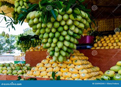 Southeast Asia, Philippines, Guimaras Island. May 12, 2019 Mango Festival Editorial Image ...