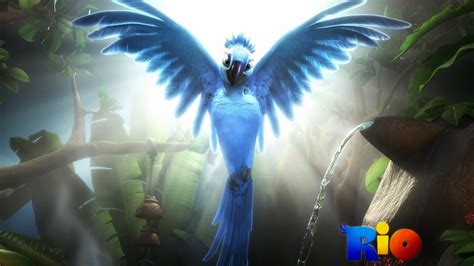 Animated Wallpapers Hd - Rio Blue Bird Flying - 1920x1080 Wallpaper ...