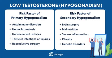 Low Testosterone in Men (Hypogonadism): Causes, Risk Factors, Treatment - Homage Malaysia