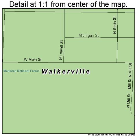 Walkerville Michigan Street Map 2683020