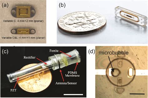 Examples of implantable pressure sensor systems currently in... | Download Scientific Diagram