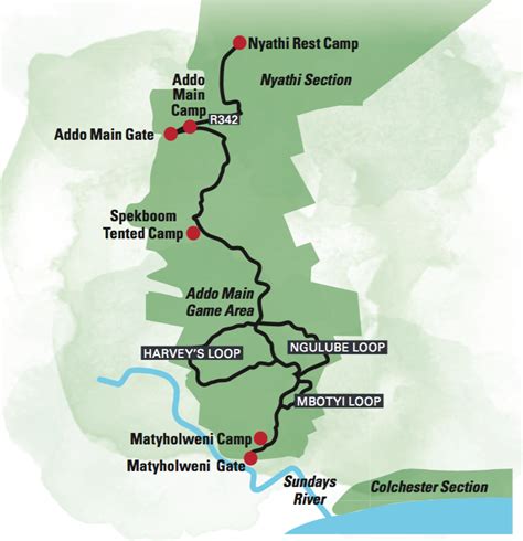 The best elephant-spotting route in Addo Elephant National Park