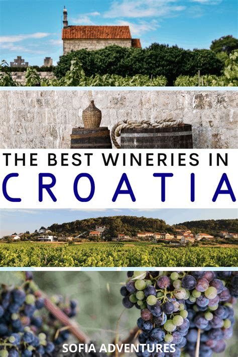 16 Wine Experiences in Croatia: Top Croatian Wineries to Visit During Your Trip! - Sofia Adventures