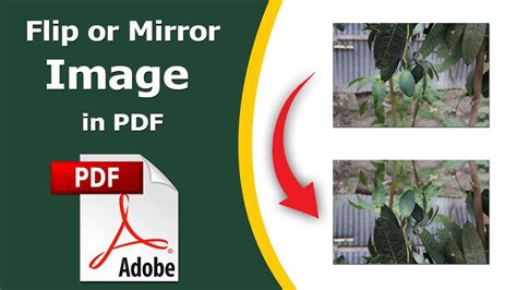 How to Flip PDF Image vertically and horizontally using adobe acrobat pr... Adobe Acrobat ...