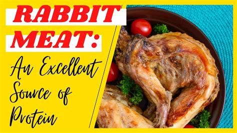 Rabbit Meat an Excellent Source of Protein - YouTube