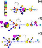 Phylogeographic and population insights of the Asian common toad (Bufo gargarizans) in Korea and ...