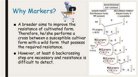 Morphological, Cytological and Biochemical Markers