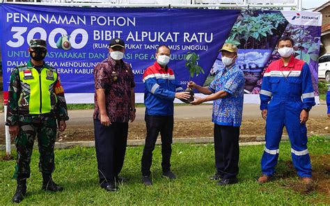 PGE Ulubelu distributes 3000 RATU Avocado seeds to the community - Pertamina Geothermal Energy Tbk