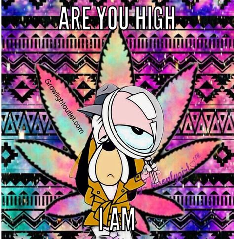 Pin by The Hippie Inn on Weed memes | How high are you, Weed memes, High