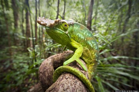 On Earth Day, 20 Gorgeous Photos Of Natural Wonders Under Threat | HuffPost