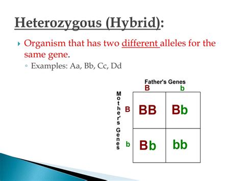 PPT - Introduction to Genetics PowerPoint Presentation, free download - ID:2500585