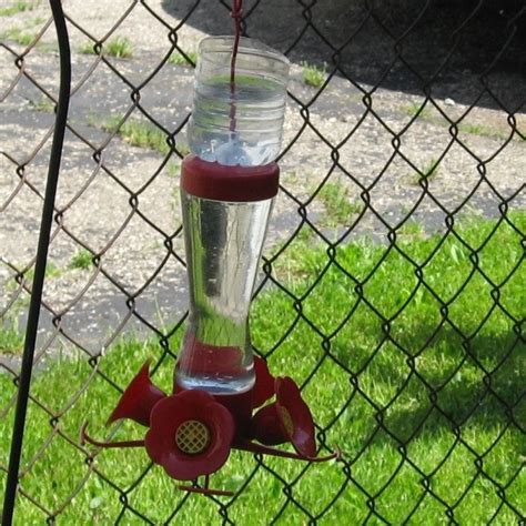 Keeping Ants Out of the Hummingbird Feeder | ThriftyFun