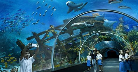 The Marine Life Park is a part of Resorts World Sentosa, Sentosa, situated in southern Singapore ...