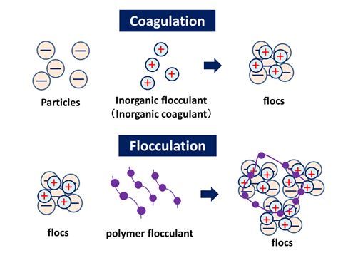 Flocculation treatment / Sludge drying | KENKI DRYER