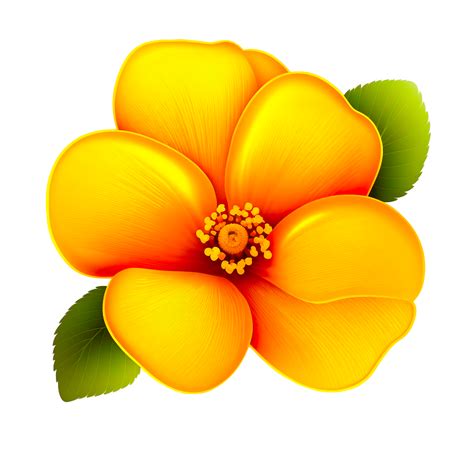 Coloring Pictures Of Flowers For Preschoolers Best Fl - vrogue.co