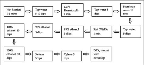 Pap Smear Procedure Steps