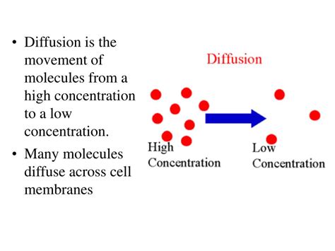 PPT - Diffusion is the movement of molecules from a high concentration to a low concentration ...